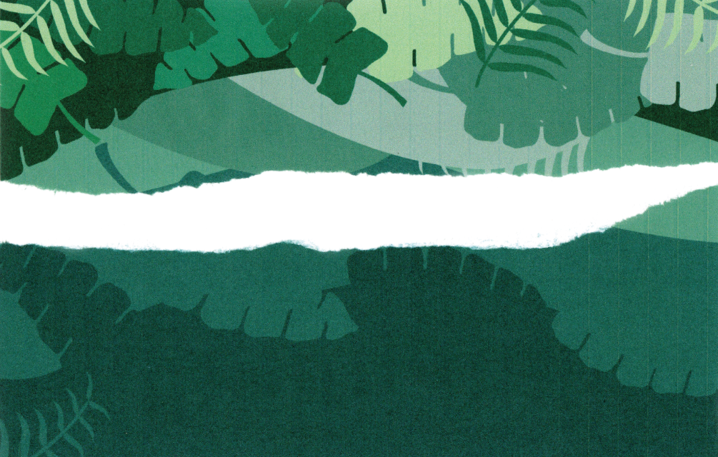 Sud Tropical process green