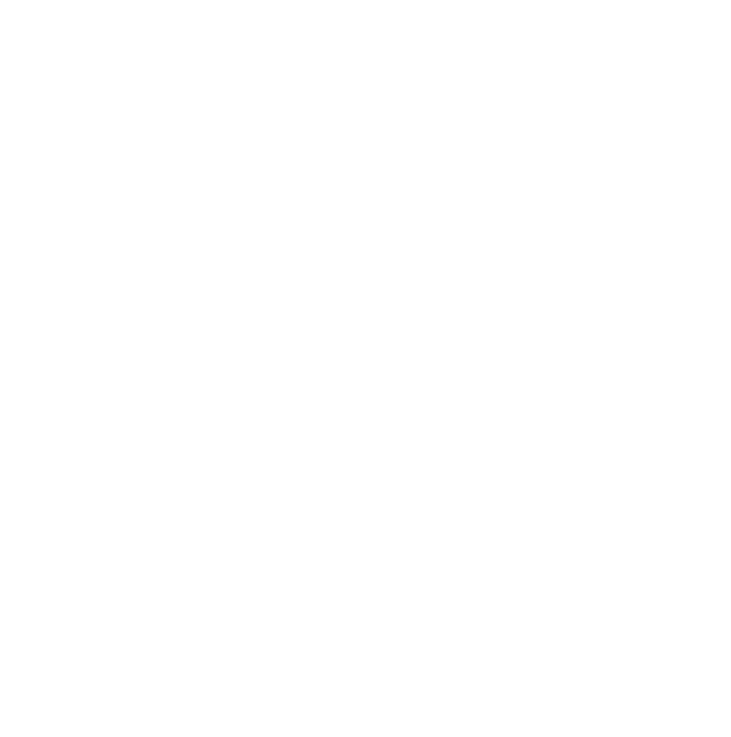 Sud Tropical Logo