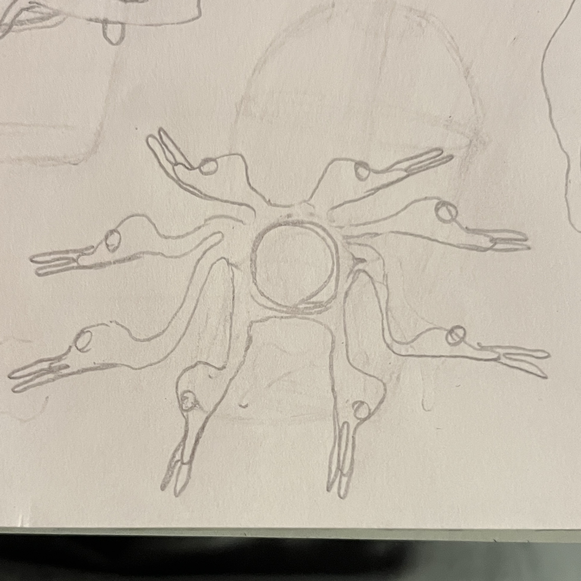 Sketch 6